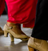 Animación Hotel Garbí Costa Luz Conil