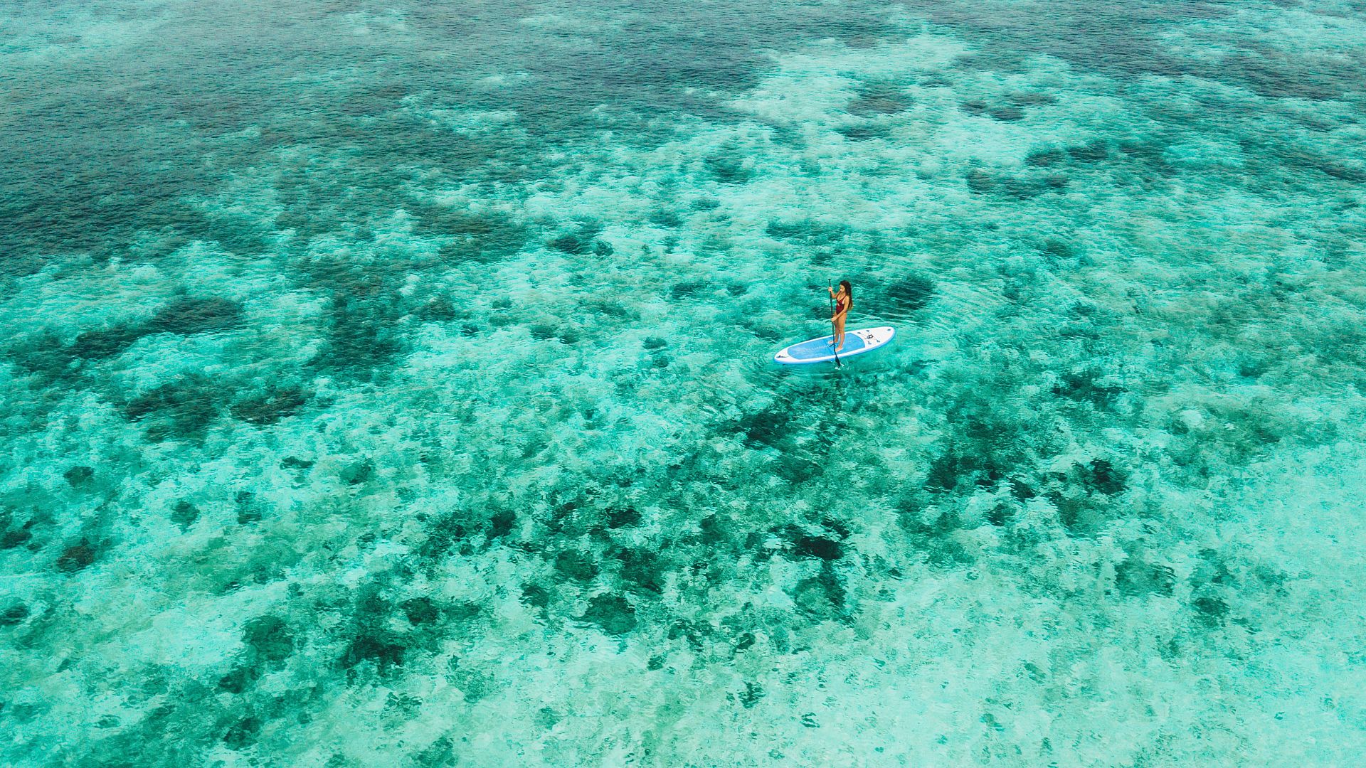 Experience the Mediterranean in motion