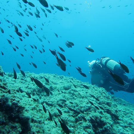 Diving and snorkeling