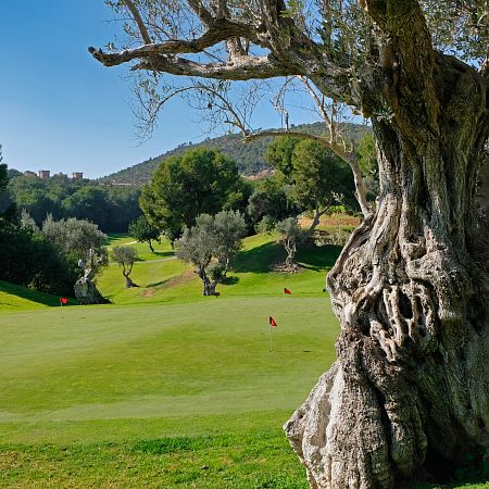 Golf near Cala Millor