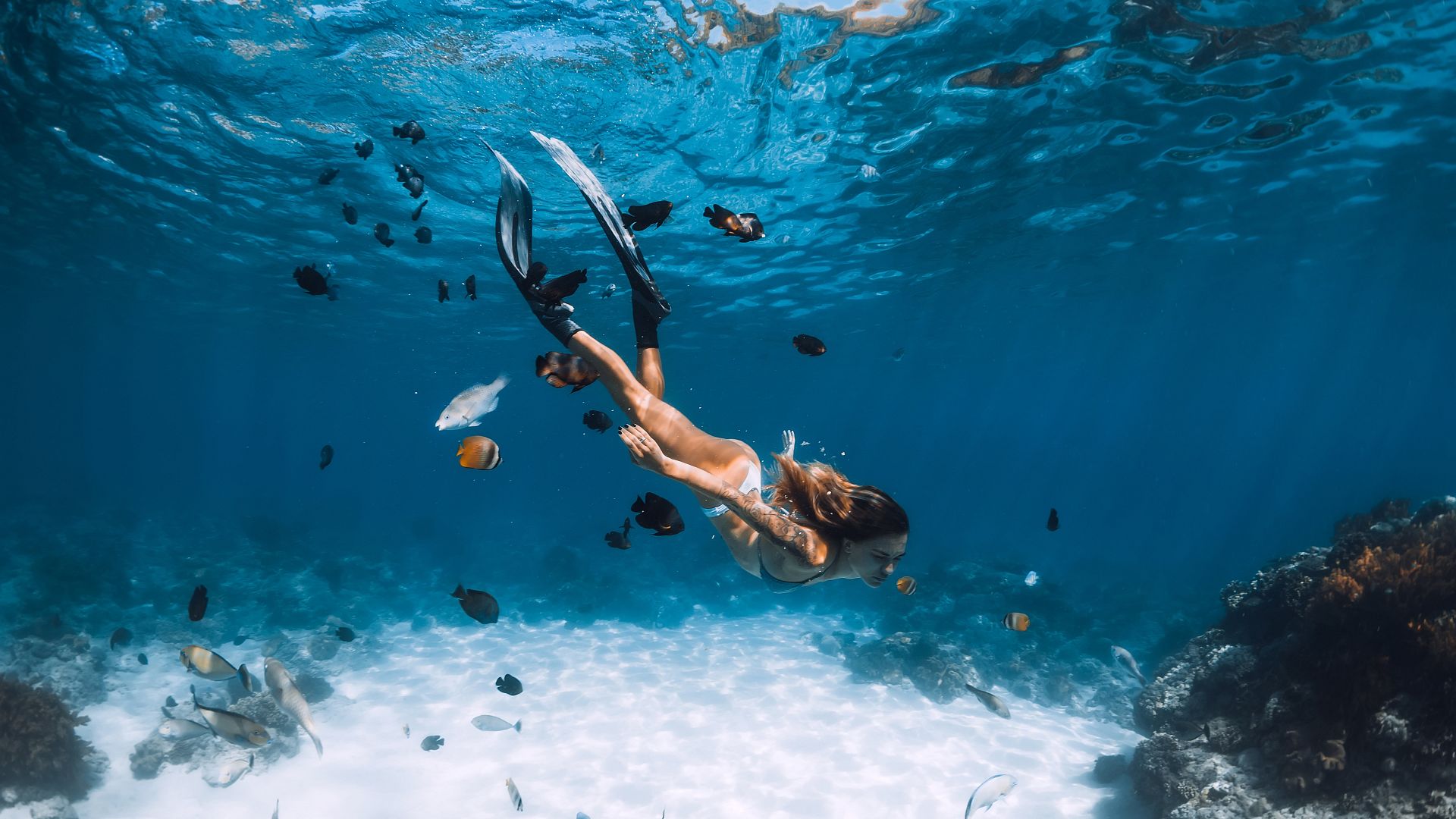Submergeix-te al Lloret més actiu