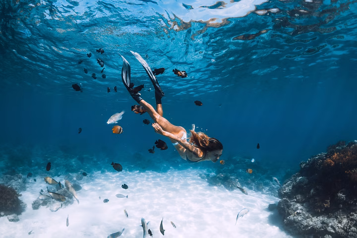 Immerse yourself in the most active Lloret
